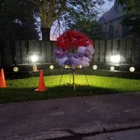 20180523 bb88084f 115b 40fa baf3 172aa50584b8