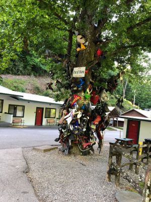 20190527 7a745b59 0379 4563 8468 769dd8b71092