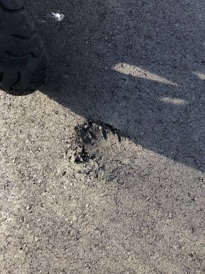 20190605 49970ae7 3cb4 4f8f a118 ca033aae7b7c