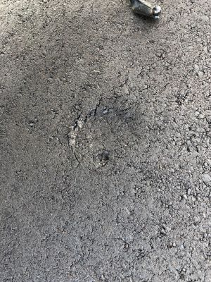 20190605 5f66c546 84b0 4d04 a09e 9214e6c7562e