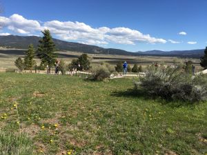 20160520 dbccc3a9 7774 474e 91d3 1a0023f4f5d0