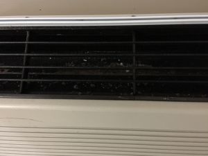 20160521 0642f268 378b 4462 856c d2dc5b97bc6c