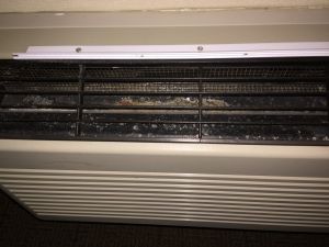 20160521 48271ad4 4320 4c94 9342 b5331e088fe7