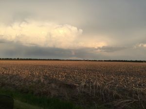 20160521 ca0f9dce 9ee2 4080 a697 9a5f4251940a