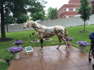 20160525 db2356f2 d47b 47ac b40e 643bf34d81b5