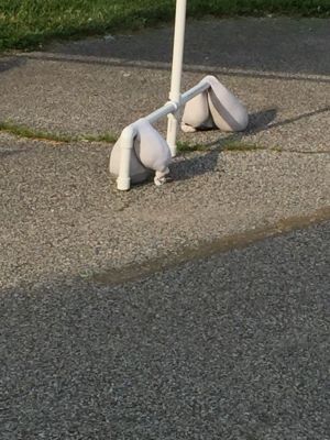 20160525 f06646ae 0b14 407e a0ee 9e22446d5ff7