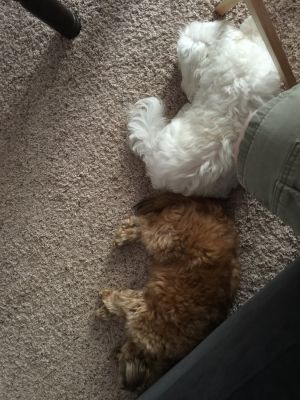 20160601 3f980af9 670b 4812 9ec8 4c9569227a71