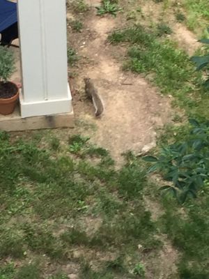 20160601 a4633276 1455 4d92 a086 4f43ed3713e2