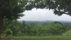 20160603 888e7690 442d 4e2a 8d95 1e78b7796a60