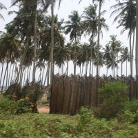 abidjan coastal