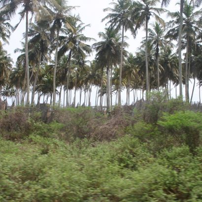 abidjan coastal